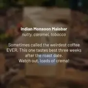 India Monsoon Malabar roasted coffee beans