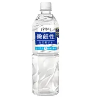 在飛比找PChome24h購物優惠-味丹多喝水微鹼性竹炭離子水850ml(20瓶/箱)*2箱