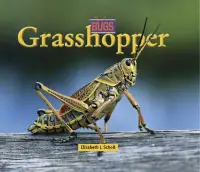 在飛比找博客來優惠-Grasshopper
