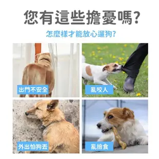 中小型犬外出牽引器(中小型犬 遛狗神器 寵物自動牽引繩 寵物牽繩 伸縮牽繩 伸縮拉繩 遛狗繩)