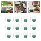 Clever Drainage Solution Transparent Flower Pot Set of 12 for Home Use