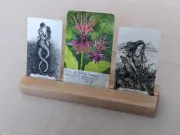 Solid Real Wood Oak Tarot Card Holder Stand - Rack - Display - Handmade