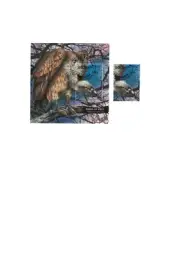 Tanzania 1994 _ Birds of Prey - Souvenir Sheet + Stamp _ CTO - MNH **