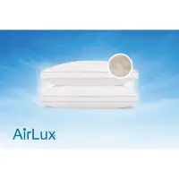 在飛比找環球Online優惠-買一送一★美國金格名床 AirLux微凝膠羽絨枕 共2入