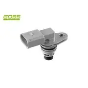 RAE Camshaft Position Sensor - SC340