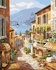 EIBEILI Paint by Number for Adults Beginner,Scenery Paint by Numbers,Garden Paint by Numbers Kits Suitable for Home Wall Decoration 16x20 Inch