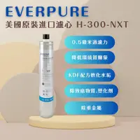 在飛比找ETMall東森購物網優惠-【EVERPURE】PENTAIR H300NXT (1入)