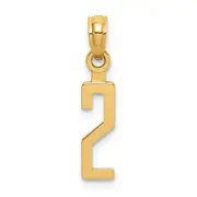 14K Yellow Gold Polished Number 2 Pendant