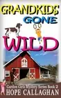 Grandkids Gone Wild by Hope Callaghan (English) Paperback Book