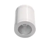 Outdoor LED 13W Natural White Downlight - Dimmable - Glossy White