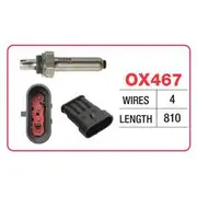 RAE Oxygen Sensor - OX467