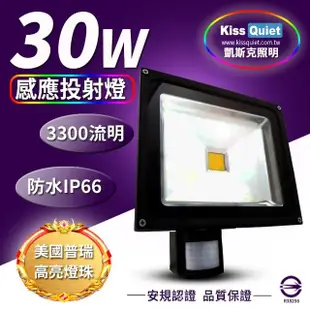 【KISS QUIET】質感黑 30W LED感應投射燈/全電壓/高PF-1入(LED投射燈/防水投射燈/戶外燈具/感應投射燈)