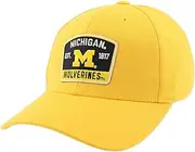 Zephyr ZHATS Men's Standard NCAA Officially Licensed Fitted Hat ZH Patch Switchback Alternate Color