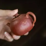 3.4oz Full Handmade Tea Pot Persimmon Design Yixing Zisha Jiangpo Clay Pot 100ml