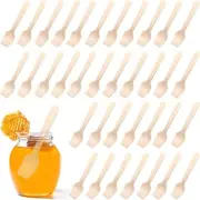 2000 Pcs Mini Wooden Spoons Wooden Disposable Spoons Small Wood Tasting Spoon...