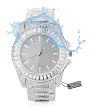 Iced Out Luxury Watch | Top Tier