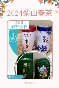 在飛比找樂天市場購物網優惠-台灣高山茶 梨山 正春茶