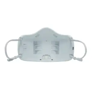 【陽光家電】LG 空氣清淨機 (口罩型) AP300AWFA (詢問享優惠)