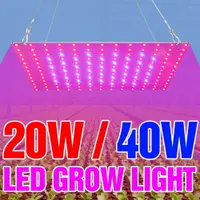 在飛比找樂天市場購物網優惠-LED植物燈全光譜110V量子板植物生長燈220V多肉補光燈