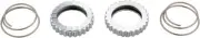 DT Swiss 18t Superlight Star Ratchet Kit: Includes Springs and Grease