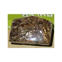 在飛比找蝦皮購物優惠-#貨號27 加拿大國寶 斑彩石 Ammolite 399元含