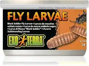 EXO TERRA CANNED BLACK SOLDIER FLY LARVAE 34G