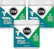 STEM Fruit Fly Trap: Fruit Fly Catcher with Botanical Extracts; 5.4 fl. oz. (Pack of 3)