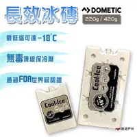 在飛比找蝦皮商城優惠-【DOMETIC】長效冰磚 220g 保冰劑 冰寶 長效保冷