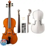 Violin for Beginners, Natural Acoustic 4/4 Violin for Adult Violin DIY Access