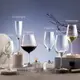 Lucaris 東京系列 6款酒杯 紅酒杯 白酒杯 香檳杯 波爾多紅酒杯 金益合玻璃器皿
