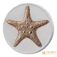 【TRUNEY貴金屬】2019陶瓷塗層海星紀念性銀幣/英國女王紀念幣