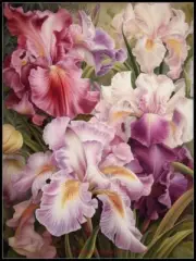 Irises 6 - DIY Chart Counted Cross Stitch Patterns Needlework DMC Color