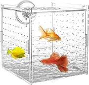 Breeder Box for Fish Tank, Suction Cup Hatchery Container, Clear Nursery Divider, Multi-Chamber Fry Incubator, Safe Isolation Box (Transparent, Medium), for Betta, Guppy, Angelfish Fry Acclimation