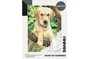 Reeves: Paint By Numbers Acrylic - Labrador (12"x16")