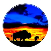 BUFFALO SUNSET CLOUD ANIMAL SKY Pendant 20" Chain 925 Sterling Silver Necklace