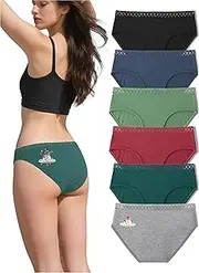 [Haiwin] Womens Underwear Cotton Hipster Panties 6 Pack – Low Rise Bikini Briefs, Seamless & Soft Stretch