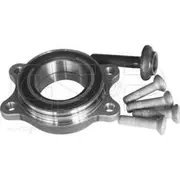 GSP Wheel Hub Assembly - 262001K