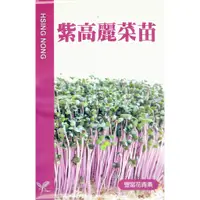 在飛比找蝦皮購物優惠-種子王國 紫高麗菜苗【芽菜種子】 口感清爽 含有維生素A.C