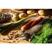 Save 10.00%! Lappish Cooking Master Class