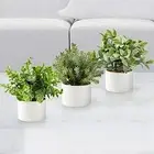 3 Pack Potted Fake Plants - Small Artificial Topiary - 3 Pack White Pots