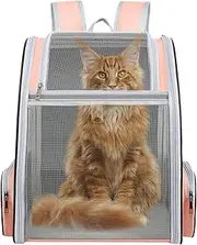 Cat Backpack,Pet Carrier Travel Backpack | Large-Capacity Pet Supplies with with Front Opening-Mesh Window-Pockets for Puppies Kittens