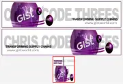 Code 3 Adhesive Vinyl Trailer Decal - Gist Logistics - 1/50 1/76 1/148 1/87 1/64