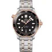 New Omega Seamaster Diver 42mm Men's Watch 210.20.42.20.01.001