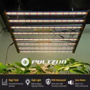 Phlizon 640W LED Grow Light Samsung Full Spectrum Light Indoor Commercial Flower