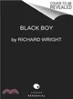 Black Boy ─ (American Hunger): a Record of Childhood and Youth