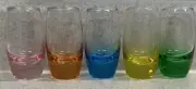 Carnival Cruise Line Shot Glass Etched Heavy Base Barware Set of 5