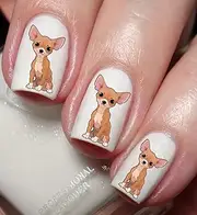 Chihuahua Dog Nail Art Decal Sticker