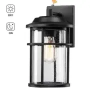 Pia Ricco 1-Light Outdoor Black Wall Fixture w Dusk to Dawn Sensor Clear Seeded
