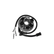 Stator Complete For Vespa PK50S (C / Strip