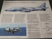 British Aerospace Sea Harrier Picture Out of Print Article Spec Sheet Wall Art